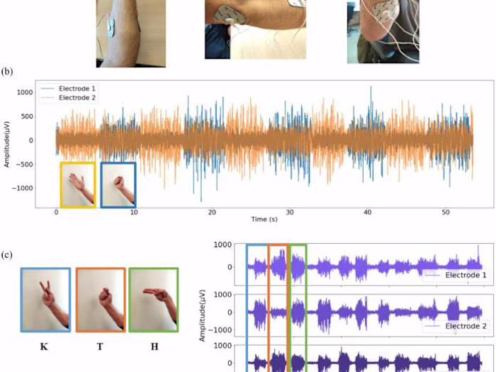 Analysis of ECG and EMG data from new biosensors