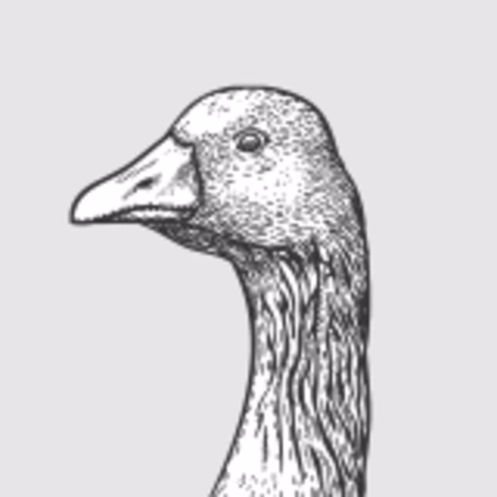 Consumer Complaints Analysis