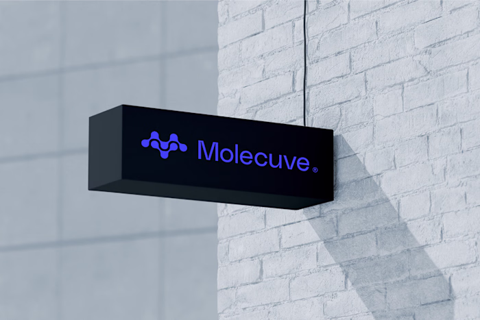 Molecuve Rebranding Project