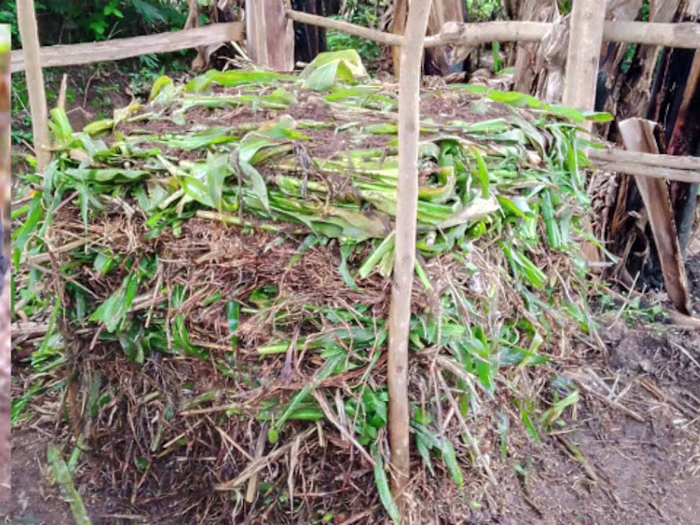 I MADE THIS VIDEO FOR MY CLIENT