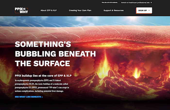 Contributed to the development of