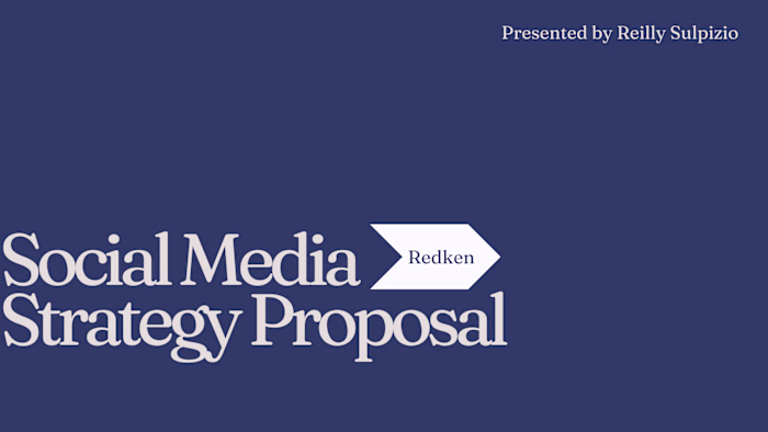 Social Media Strategy (Example)