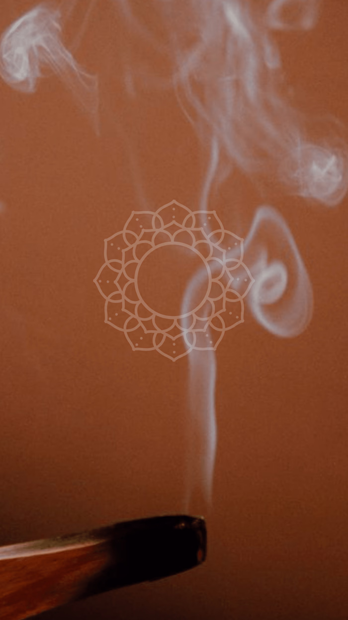 Logo design for Holistic Coaching 🦚