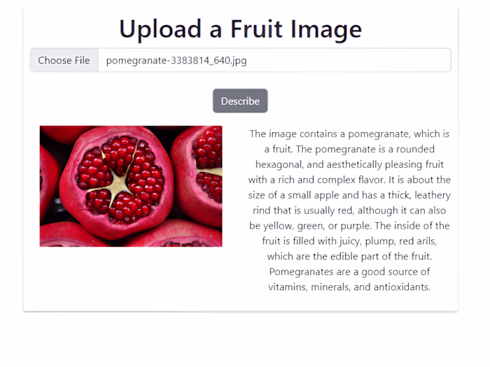 MVP to demonstrate Gemini AI Capabilities