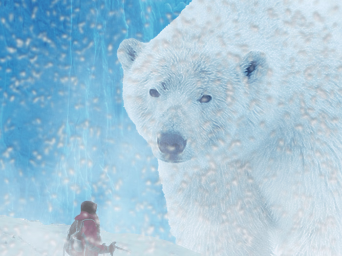 Photomanipulation Works