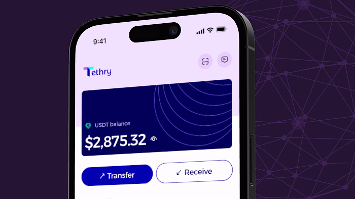 Tethry — Gasless Stablecoin Wallet