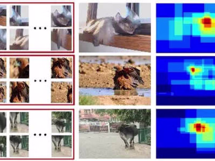 Object detection and similiarity /Educational/