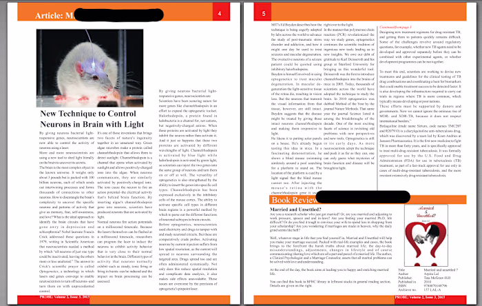  Designing college or school journal/newsletter (10=100 pages) 