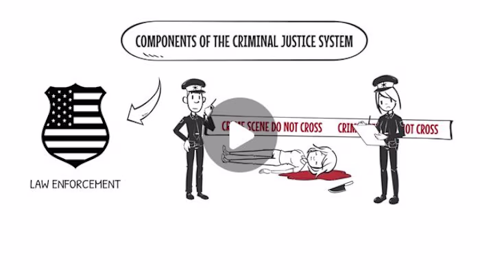 Whiteboard Animation for an Educational Platform..