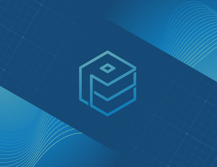 Plexus Logo & Branding