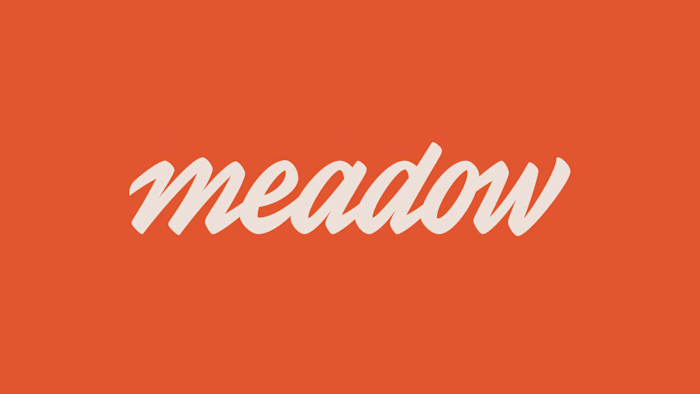 Brand Identity for Meadow