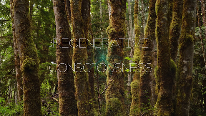 AI and the Environment: A Philosophical Overview