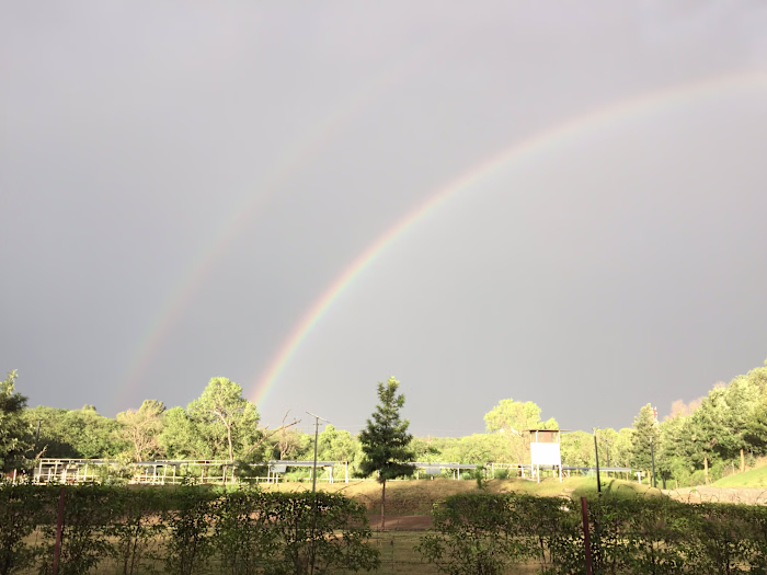 Photography Portfolio