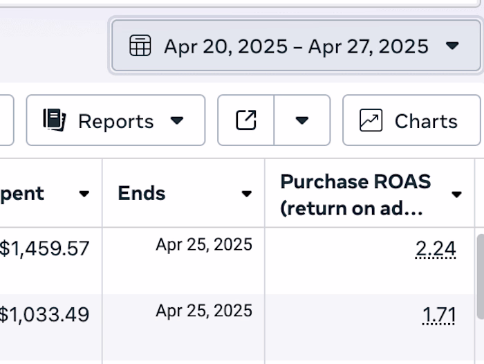 1 Week Campaign - 2X ROAS Result