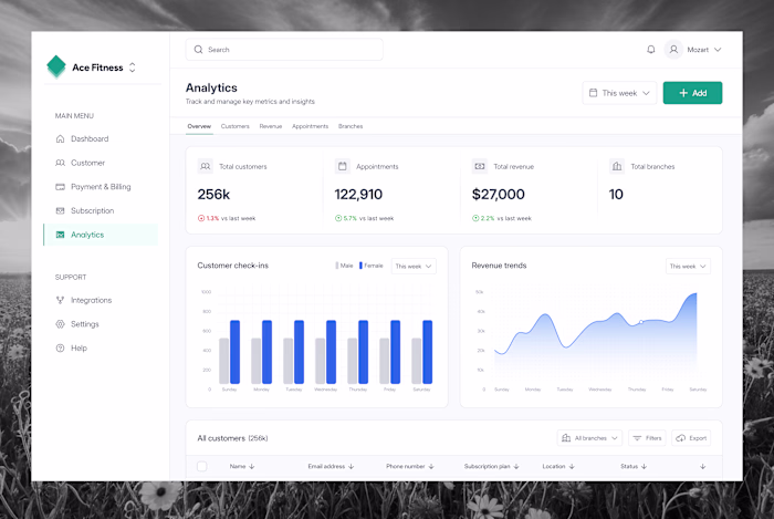 Customer analytics dashboard