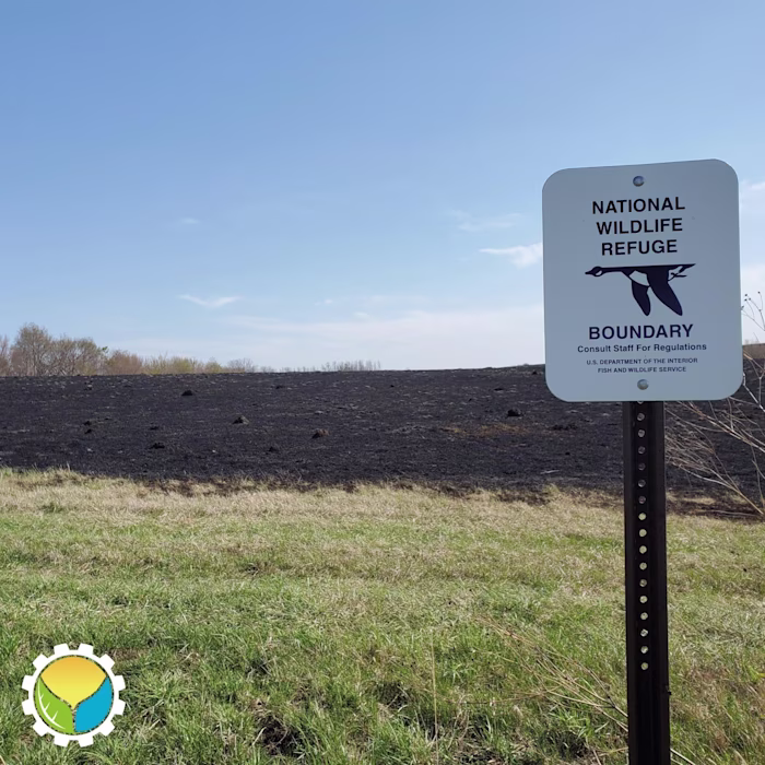 Abundant and Stable Mollisols: The “Terra Preta” of the Midwest