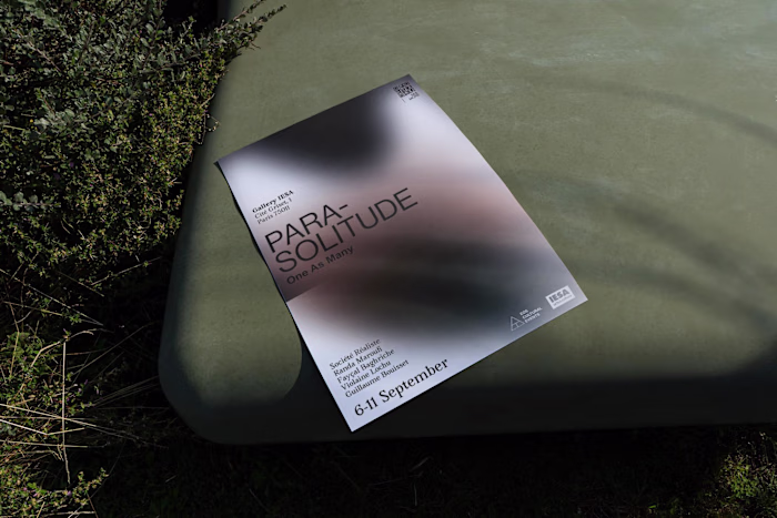 Para-solitude:
One as Many