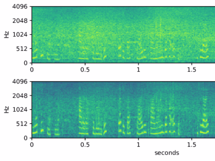 Sex/Language Audio Classifier (2020)