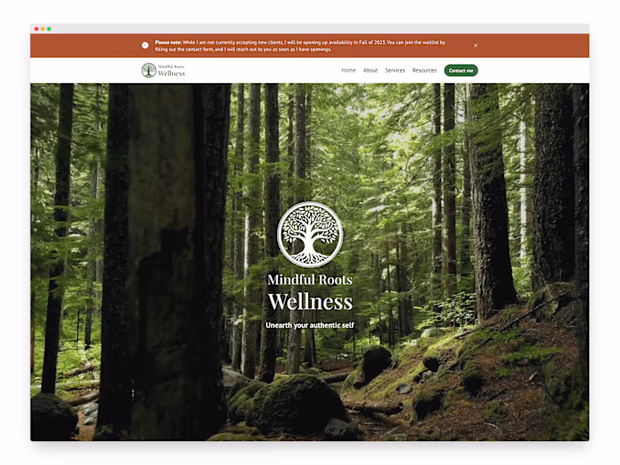 Mindful Roots Wellness