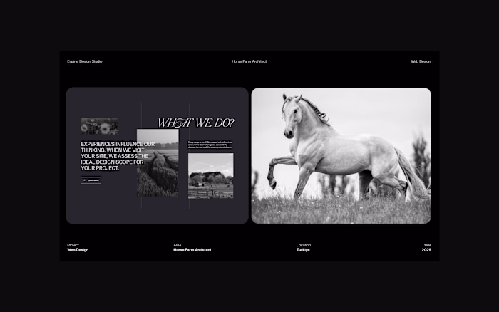 Equine