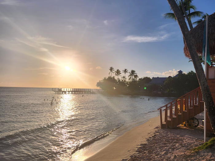 Audio story: invasive species