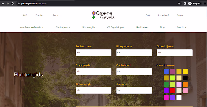 Some marketing sprinkle sprinkle for this Belgian non-profit