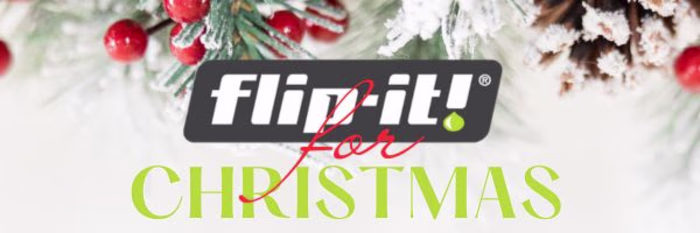 Holiday Email Marketing Campaign