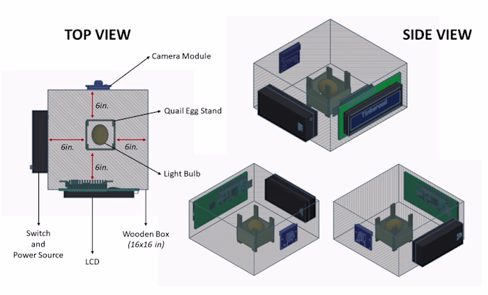 Quail Eggs Detection and Classification Through Image Processing