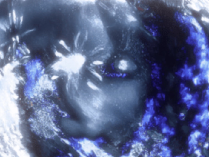 "The Aquarian Anomaly" by Parlay Pep