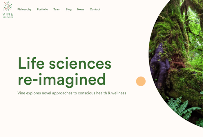 Vine Ventures Website Devleopment