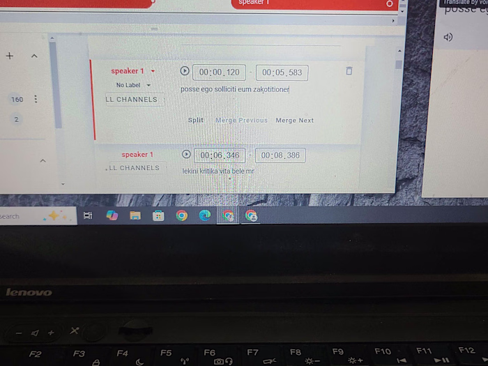 Transcription and Data Entry Expert