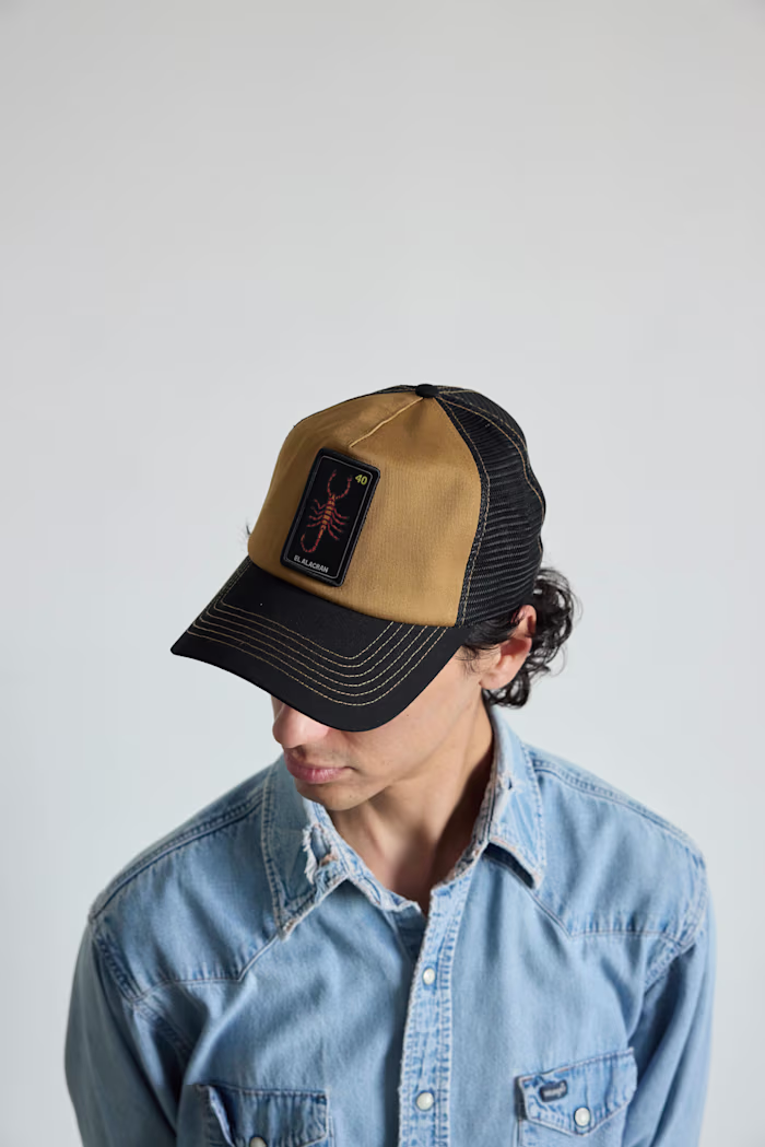 CARTA.SUPPLY Illustrations