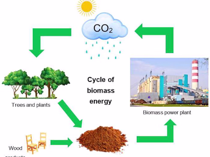 Senior Project Manager