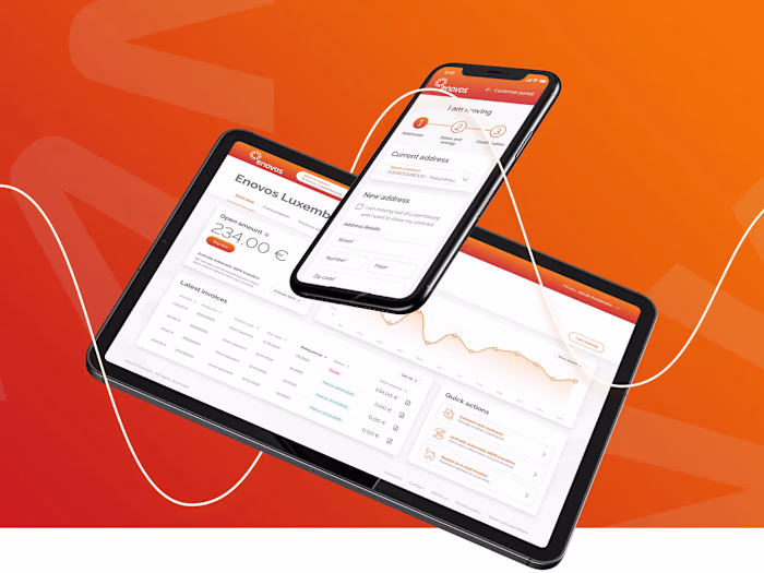 Luxembourg National Energy Operator Customer Portal UX/UI