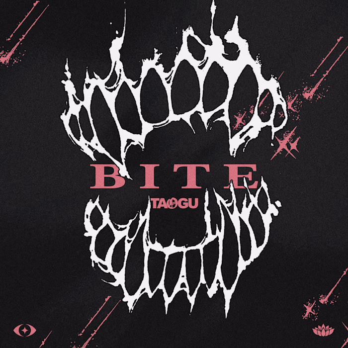 Graphic Poster/EP Visuals (2025)