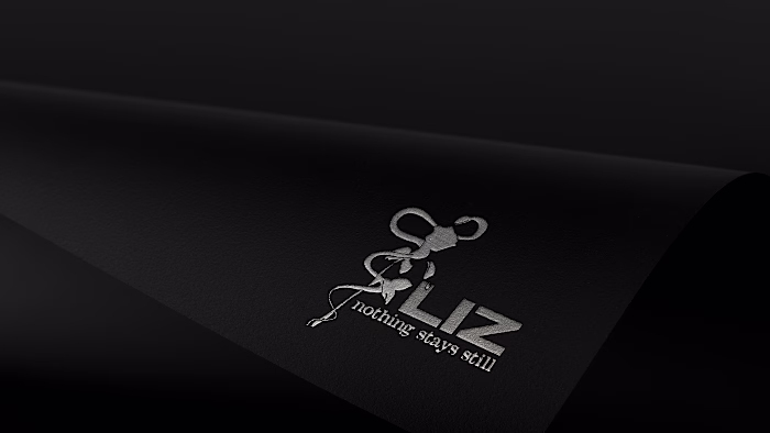 LIZ - "Nothing stays still" : Behance