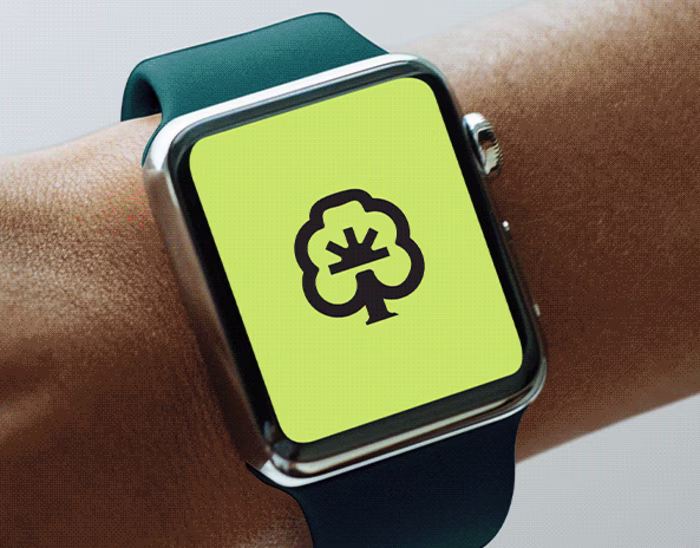 BodhAI - Brand and Visual Identity