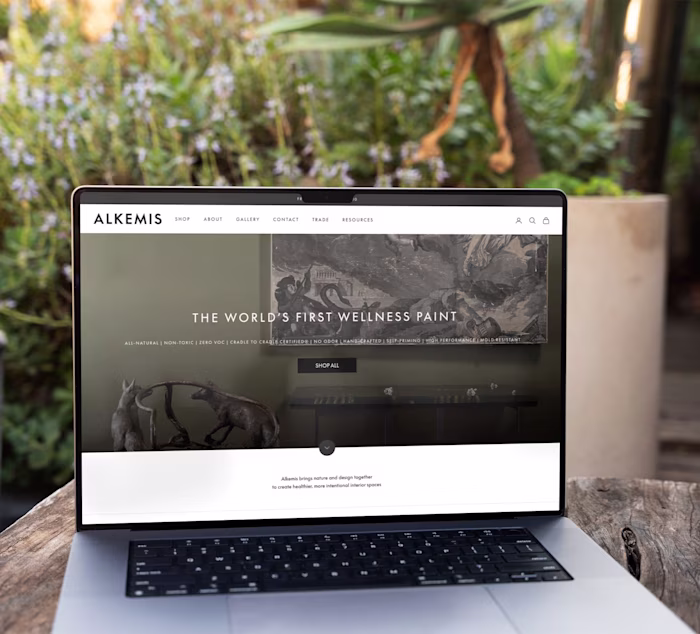 Shopify Website - Ecommerce