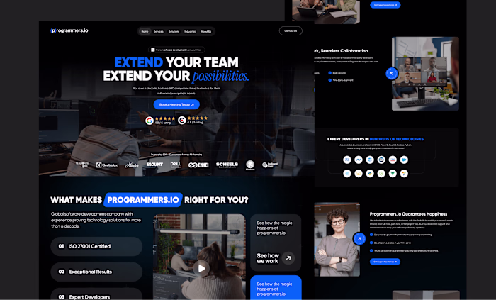 Programmers.io Landing Page Redesign