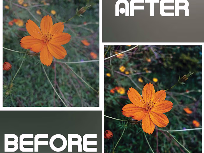 Lightroom Photo Editing