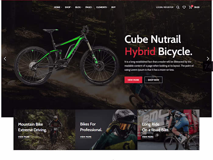 Bicycle Website Design & Development
