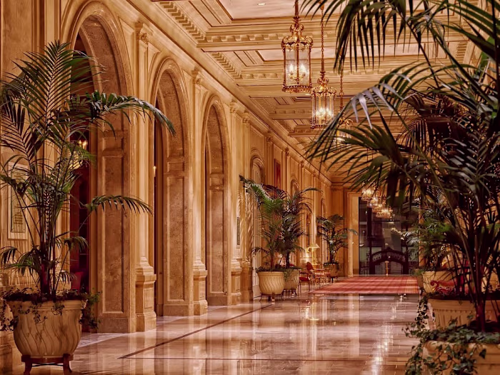 My International Consulting Agency