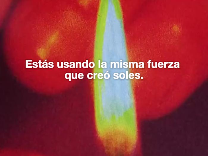 High-Engagement Reels and Shorts