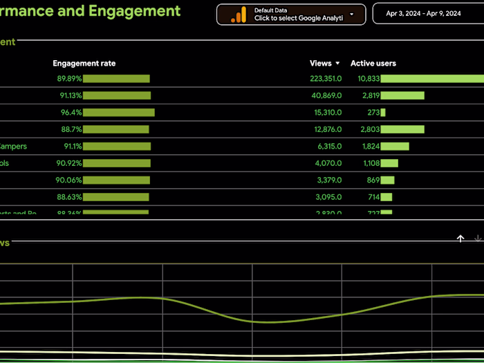 Data Analysis and Insights Report for Digital Marketing Strategy