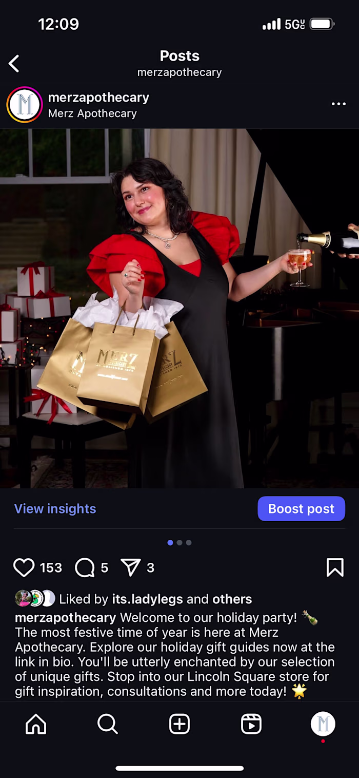 Social Content + Copywriting - Holiday 2025 Campaign