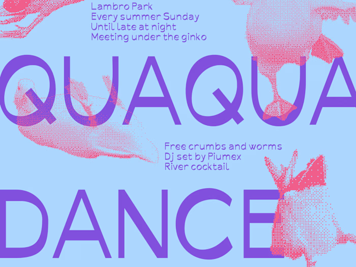 Anatide. A font inspired by duck morphology