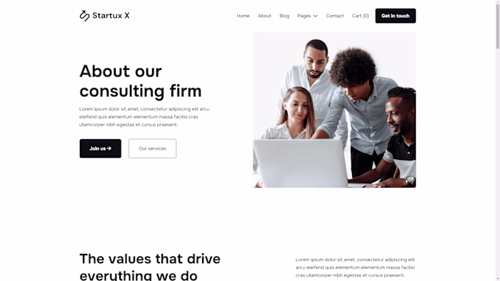 Portfolio Project (Webflow)