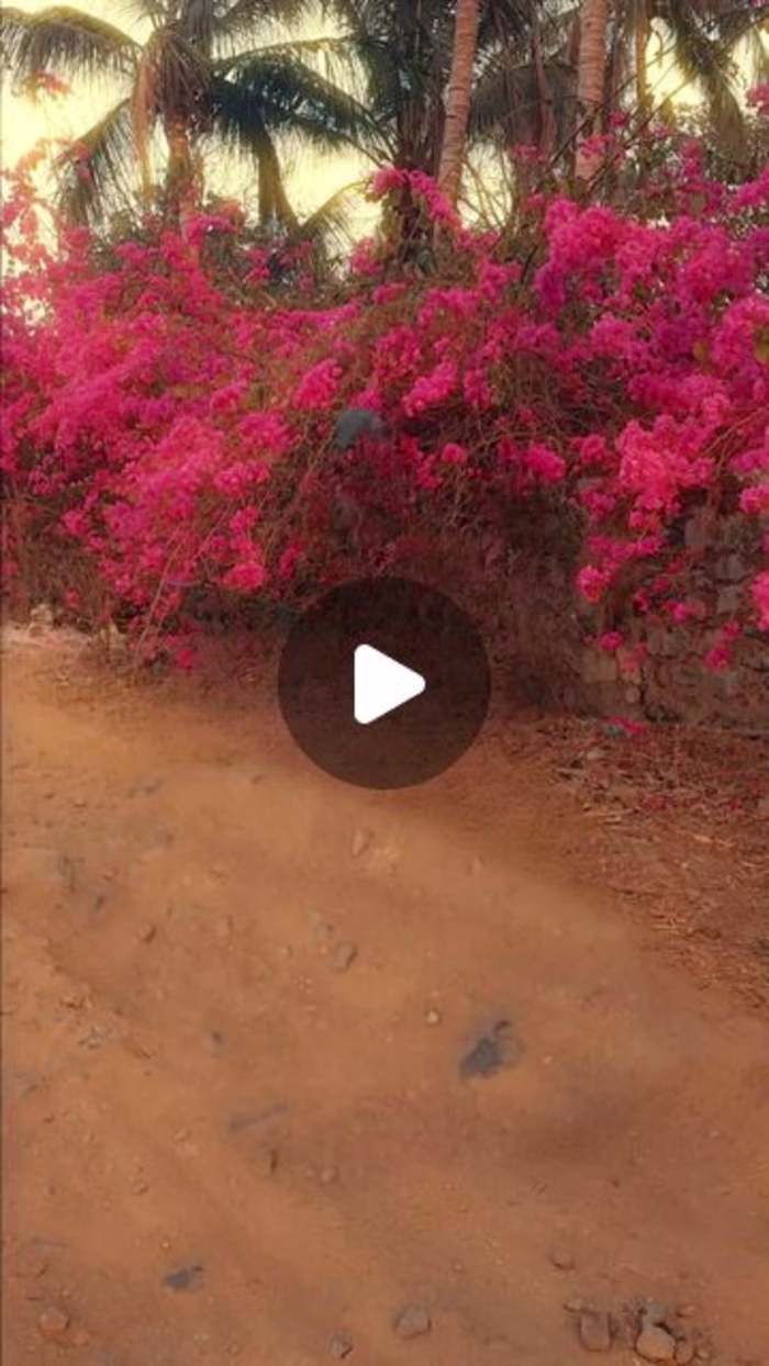 AlbireoFilmz🎞️ on Instagram: “Let Me cook👨🏻‍🍳 Himalaya ⛰️ D…