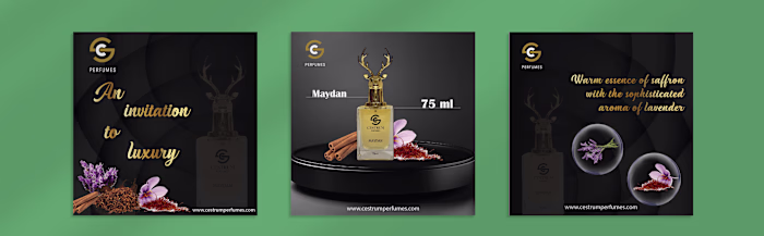 Social Media Post Design