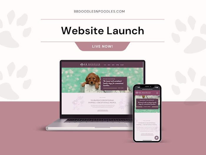 BB Doodles & Poodles Website